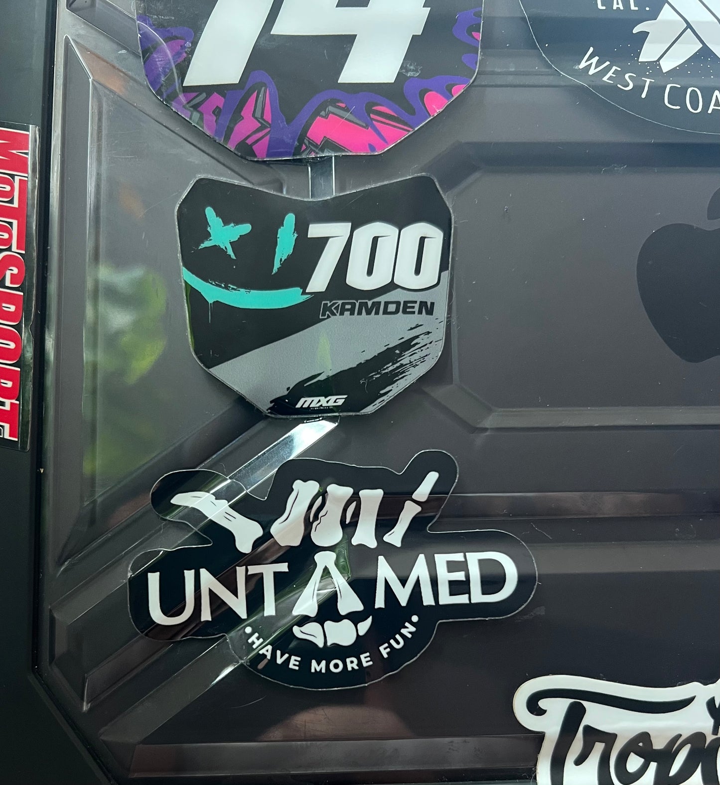 Untamed Die Cut Sticker 3"x1.8"